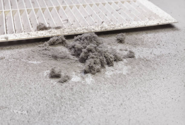 Best Professional Duct Cleaning Services  in Eastwood, MI