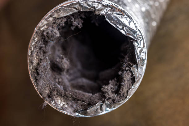 Best HVAC System Cleaning  in Eastwood, MI