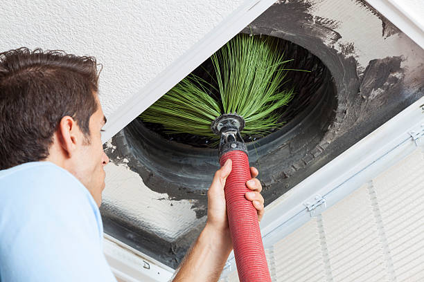 Best Emergency Air Duct Cleaning  in Eastwood, MI