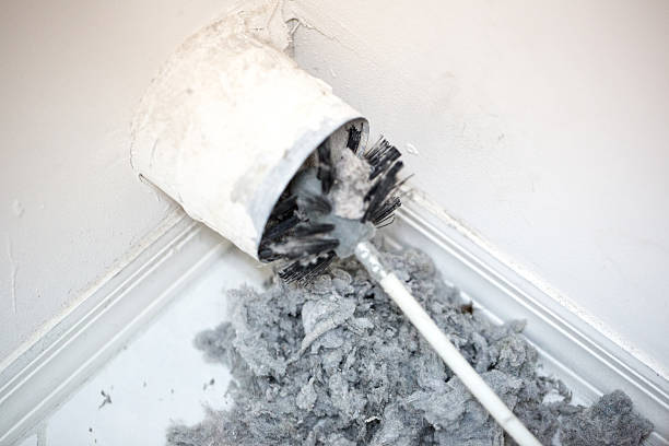 Best Ventilation Cleaning Services  in Eastwood, MI