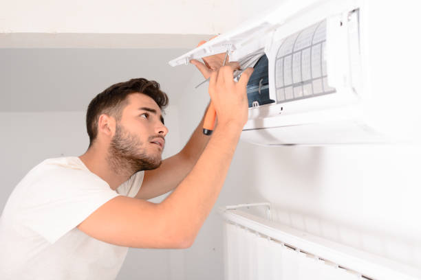 Best Dryer Vent Cleaning Services  in Eastwood, MI